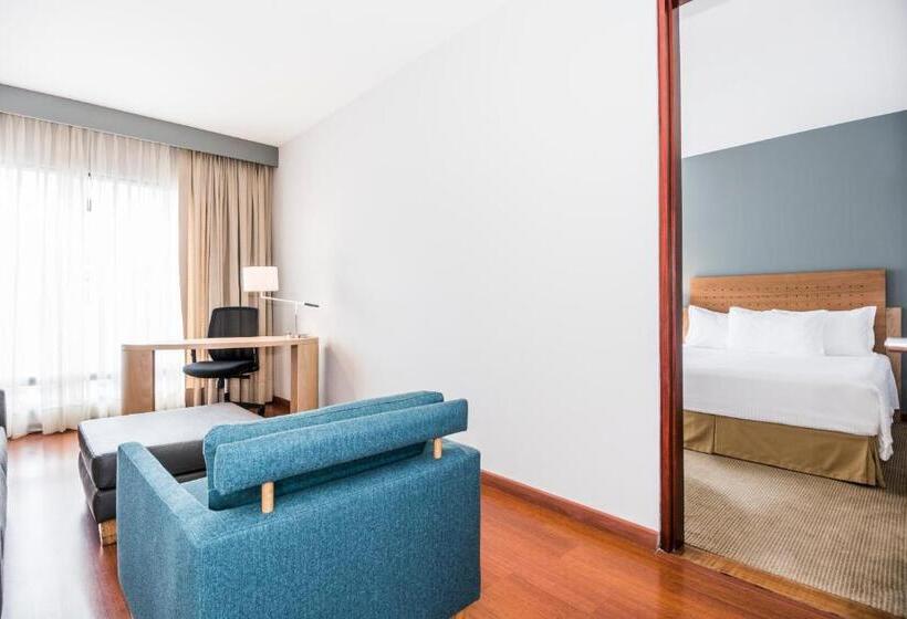 小型套房, Cosmos 100 Executive