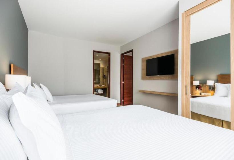 小型套房, Cosmos 100 Executive