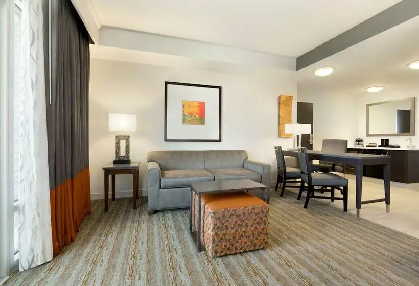 ダブルベッドのスタンダードスタジオ, Embassy Suites By Hilton Greenville Downtown Riverplace