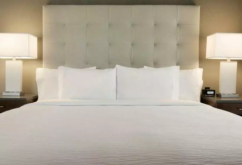 キングサイドベッドのスタンダードワンルーム, Embassy Suites By Hilton Greenville Downtown Riverplace