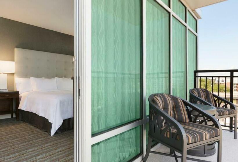 סטודיו סטנדרט, מיטה זוגית, Embassy Suites By Hilton Greenville Downtown Riverplace