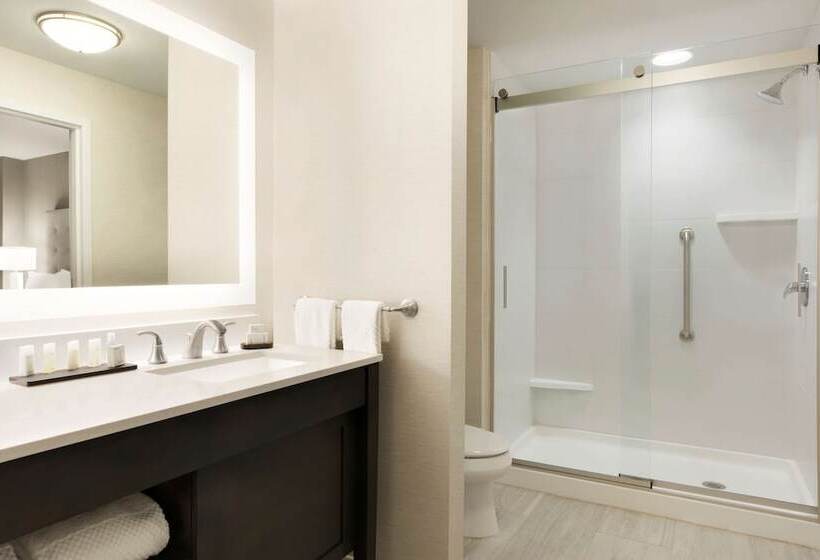 סטודיו סטנדרט מיטה זוגית, Embassy Suites By Hilton Greenville Downtown Riverplace