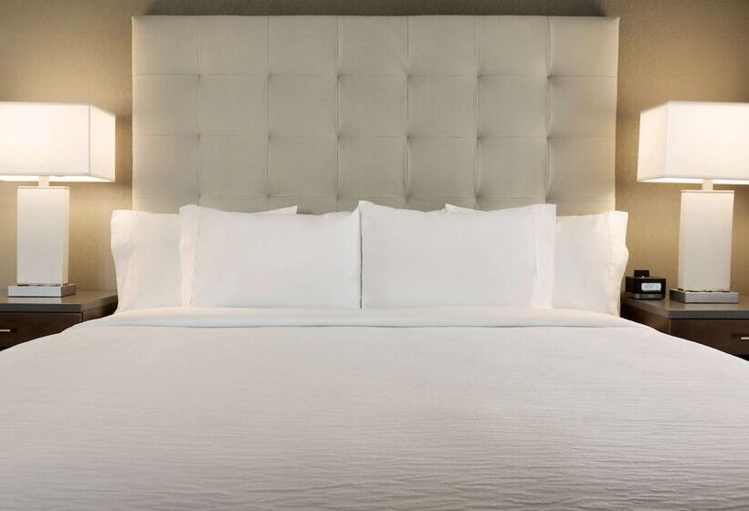 스탠다드 스튜디오 더블 침대, Embassy Suites By Hilton Greenville Downtown Riverplace