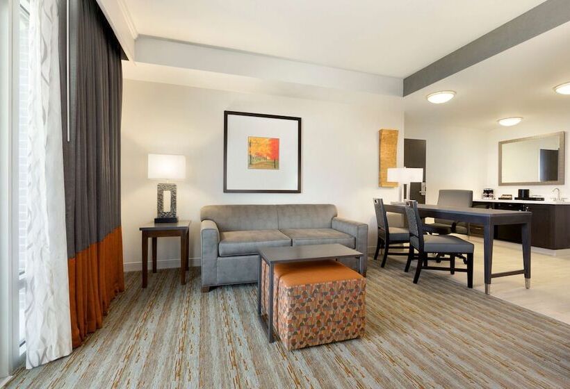 סוויטה, Embassy Suites By Hilton Greenville Downtown Riverplace