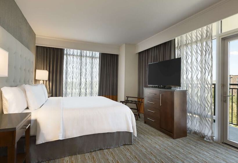 סטודיו סטנדרט מיטה זוגית, Embassy Suites By Hilton Greenville Downtown Riverplace