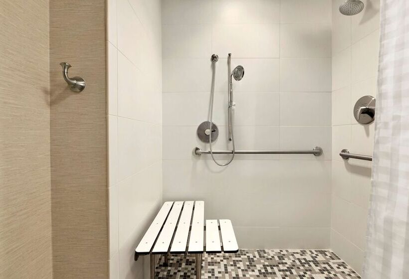 סטודיו סטנדרט מיטה זוגית, Embassy Suites By Hilton Greenville Downtown Riverplace