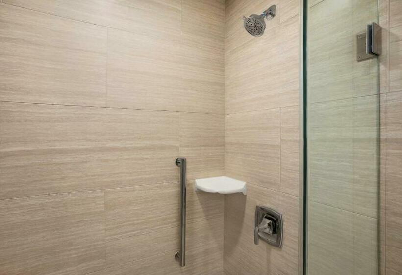 Студио Стандарт Кровать Кинг, Embassy Suites By Hilton Mcallen Convention Center
