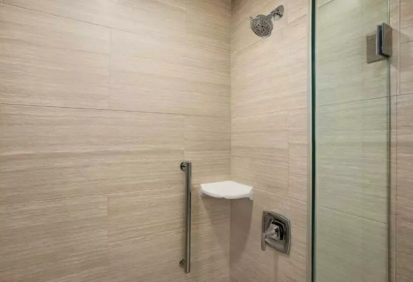 Standard-studio King-vuode, Embassy Suites By Hilton Mcallen Convention Center