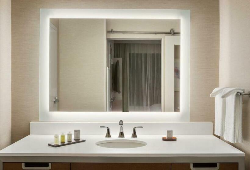 Standard Studio Kingsize Seng, Embassy Suites By Hilton Mcallen Convention Center