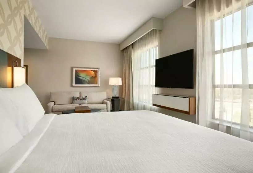 Standard-studio King-vuode, Embassy Suites By Hilton Mcallen Convention Center