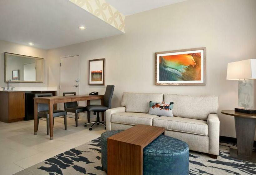 Standard Studio Kingsize Seng, Embassy Suites By Hilton Mcallen Convention Center