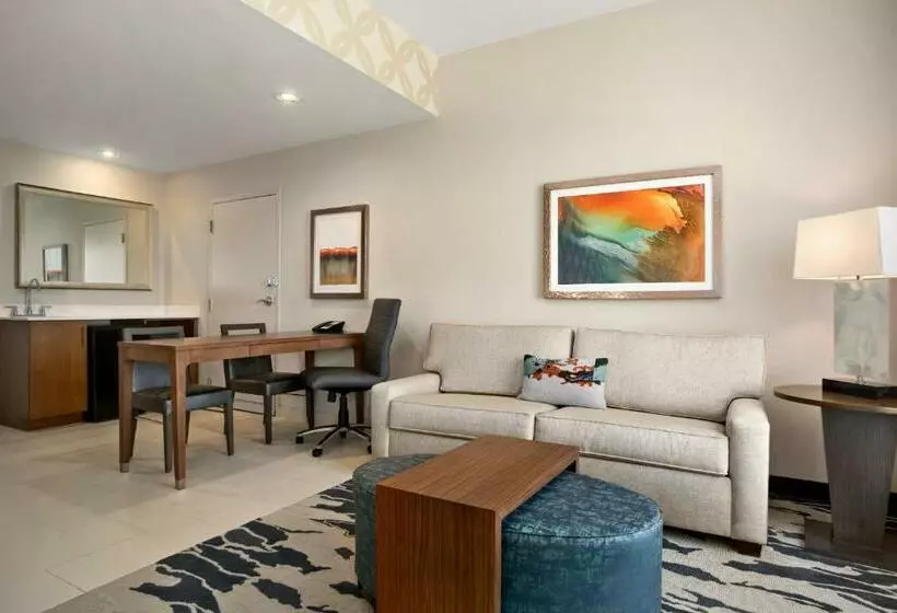 Standard-studio King-vuode, Embassy Suites By Hilton Mcallen Convention Center