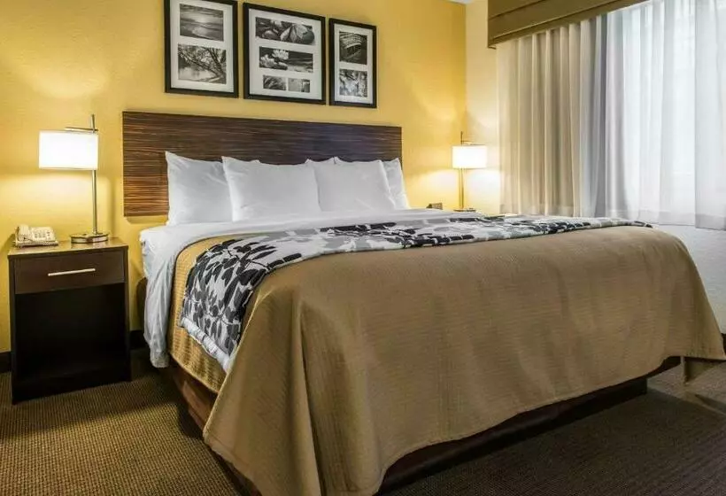 キングサイズベッドのスイートルーム, Sleep Inn & Suites