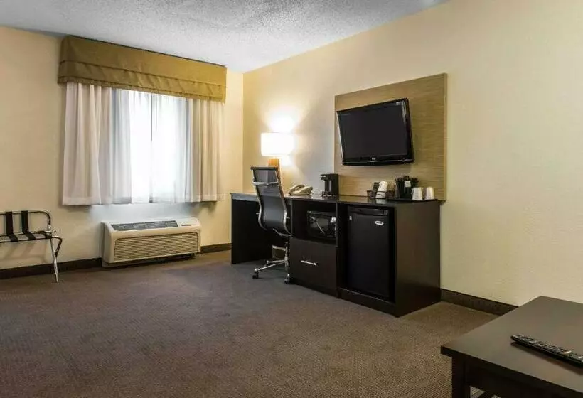 キングサイズベッドのスイートルーム, Sleep Inn & Suites