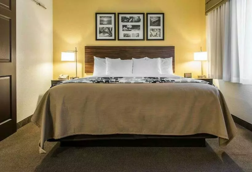 キングサイズベッドのスイートルーム, Sleep Inn & Suites