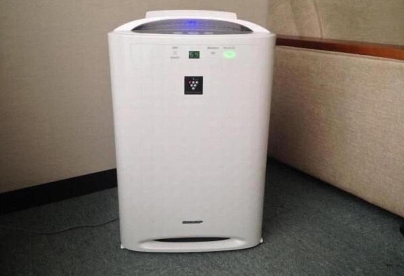 Номер Стандарт, 21