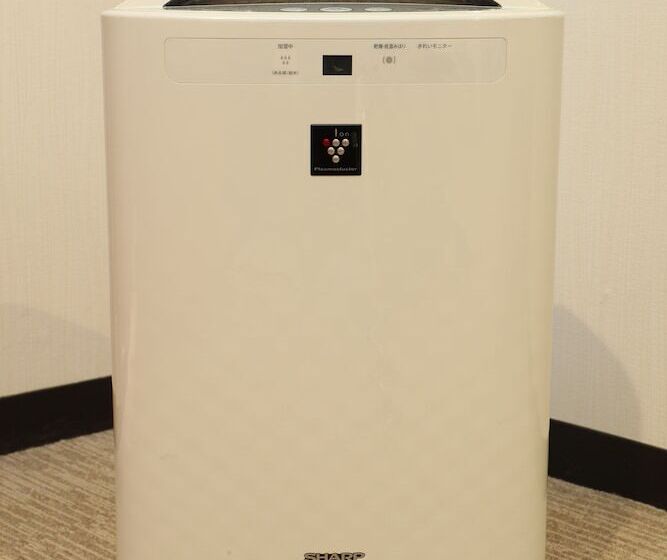 Номер Стандарт, 21