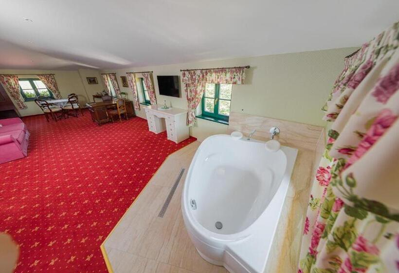 침실 1개 아파트, Boutique Hotel Pri Mlyne Lozorno