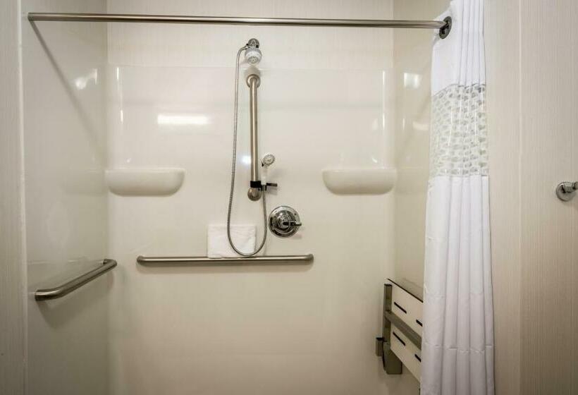 اتاق استاندارد با تخت بزرگ برای معلولان, Hampton Inn & Suites Hammond