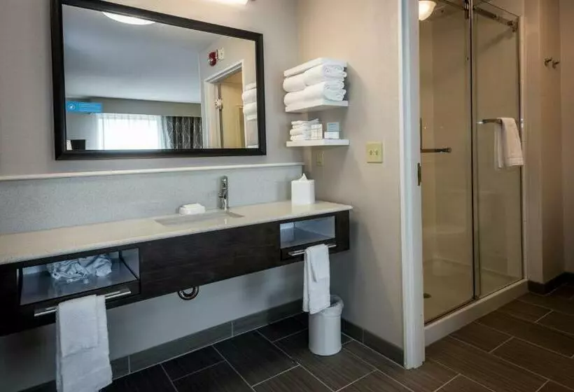 キングサイズベッドのデラックススイート, Hampton Inn & Suites Hammond
