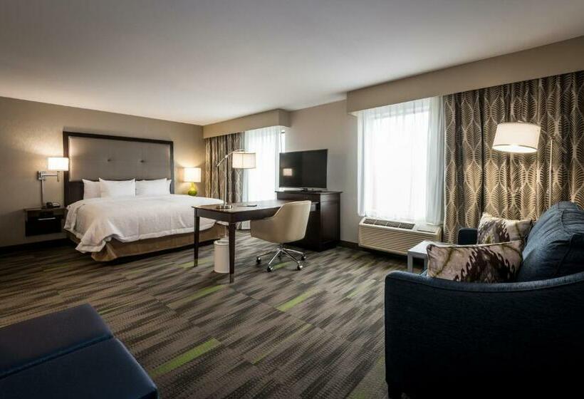 キングサイズベッドのデラックススイート, Hampton Inn & Suites Hammond