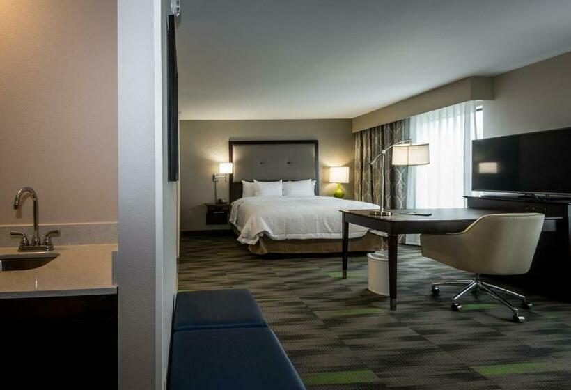 Deluxe Suite King Bed, Hampton Inn & Suites Hammond