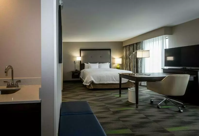 キングサイズベッドのデラックススイート, Hampton Inn & Suites Hammond