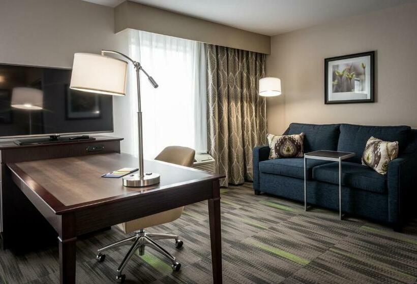 Deluxe Suite King Bed, Hampton Inn & Suites Hammond