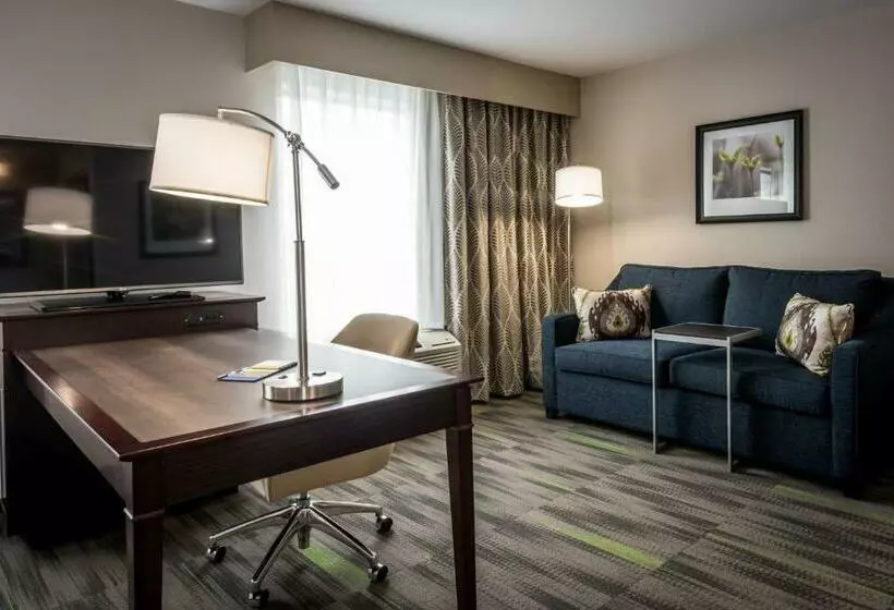 キングサイズベッドのデラックススイート, Hampton Inn & Suites Hammond