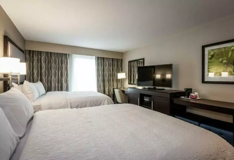 スタンダードルーム, Hampton Inn & Suites Hammond