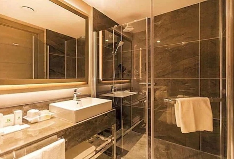 标准间, Holiday Inn Kayseri   Duvenonu, An Ihg