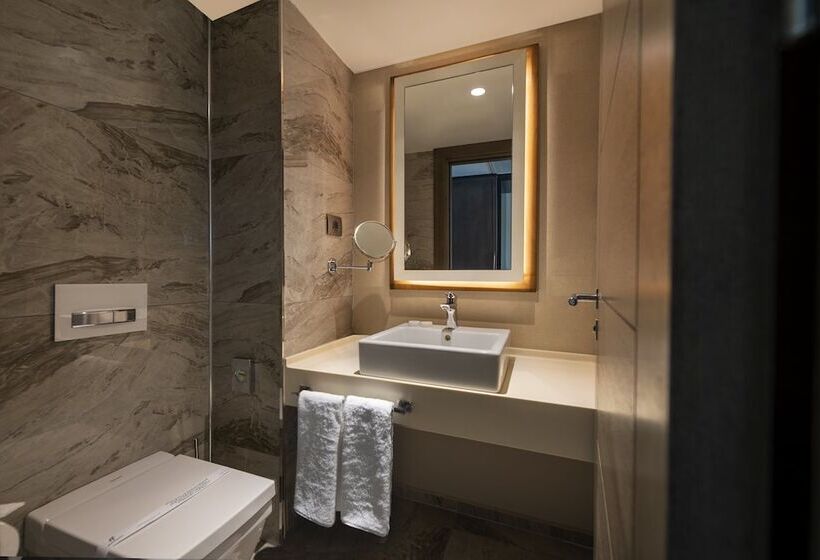 标准间, Holiday Inn Kayseri   Duvenonu, An Ihg