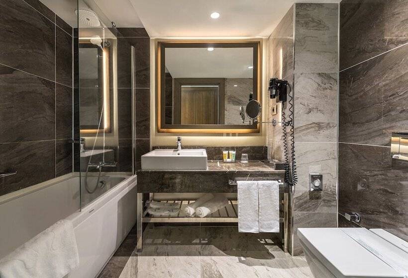 标准间, Holiday Inn Kayseri   Duvenonu, An Ihg