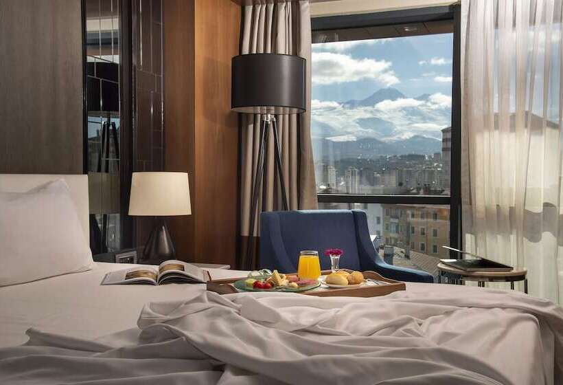 标准间, Holiday Inn Kayseri   Duvenonu, An Ihg