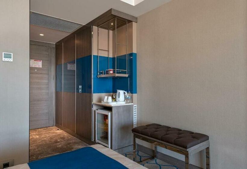 带大床的标准间, Holiday Inn Kayseri   Duvenonu, An Ihg