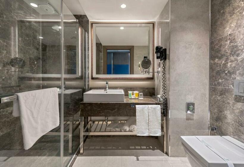 带大床的标准间, Holiday Inn Kayseri   Duvenonu, An Ihg