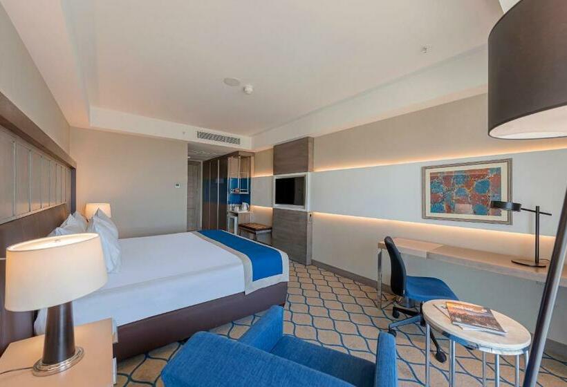 带大床的标准间, Holiday Inn Kayseri   Duvenonu, An Ihg