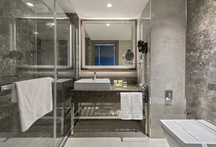 标准间, Holiday Inn Kayseri   Duvenonu, An Ihg