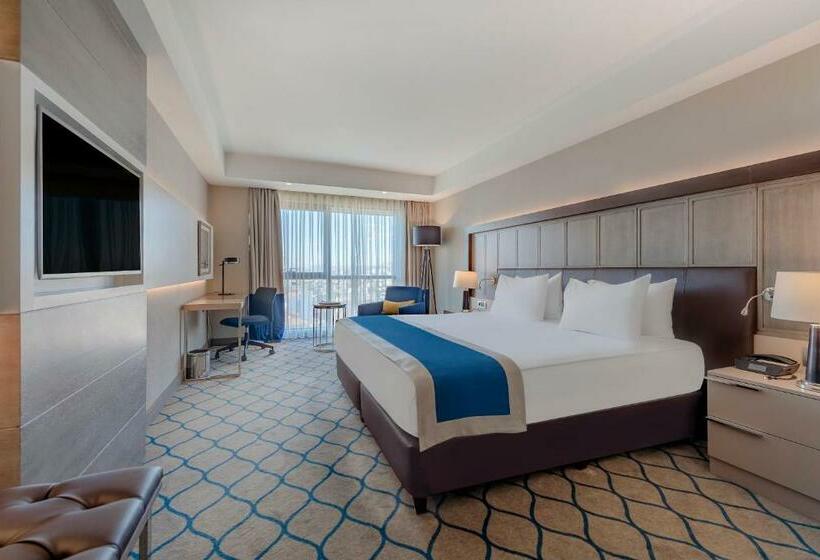 带大床的标准间, Holiday Inn Kayseri   Duvenonu, An Ihg