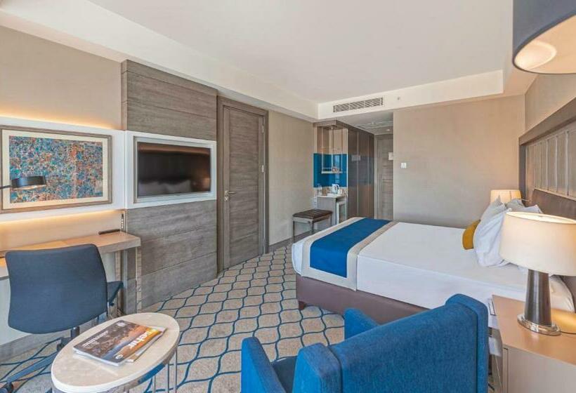 带大床的标准间, Holiday Inn Kayseri   Duvenonu, An Ihg