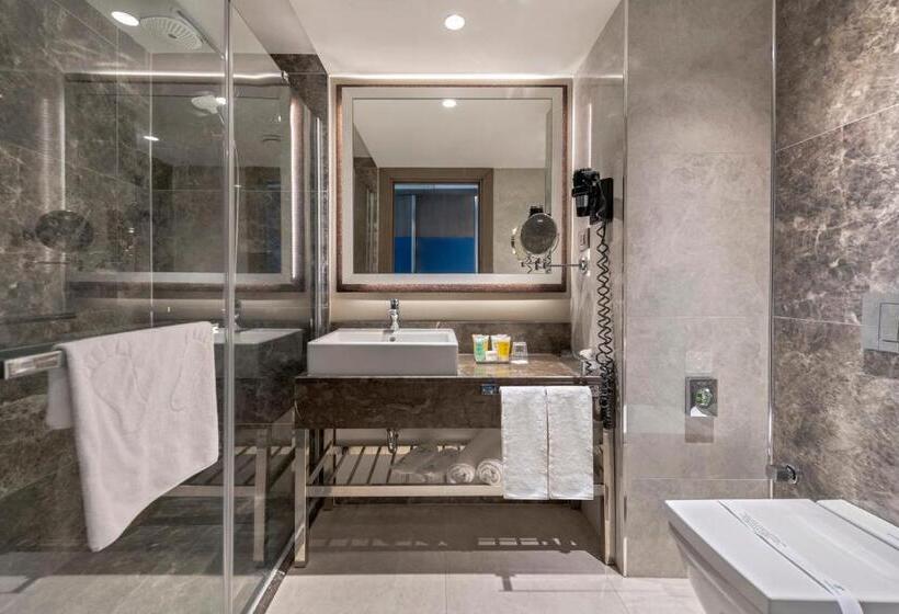 标准间, Holiday Inn Kayseri   Duvenonu, An Ihg