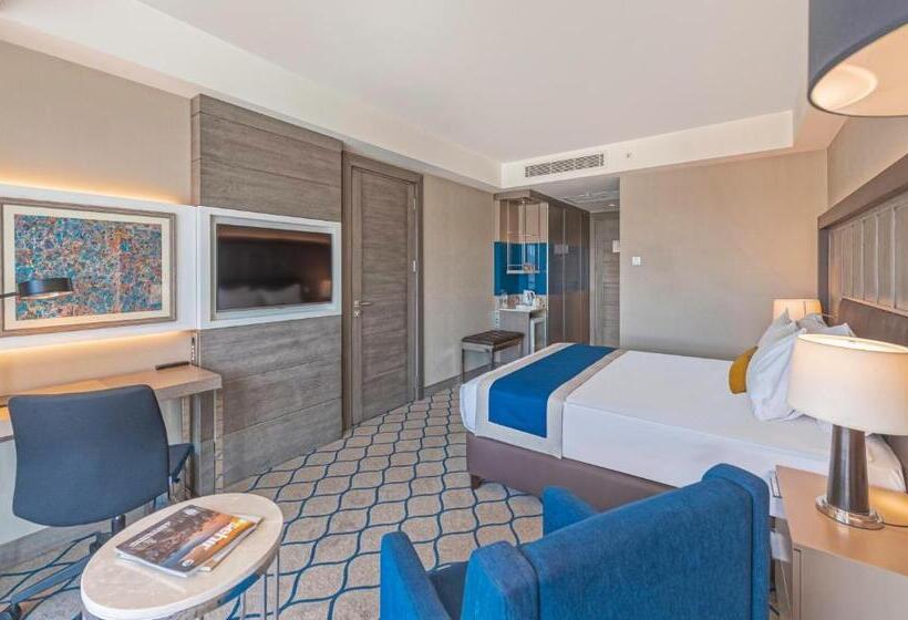 适合残疾人使用的标准间, Holiday Inn Kayseri   Duvenonu, An Ihg