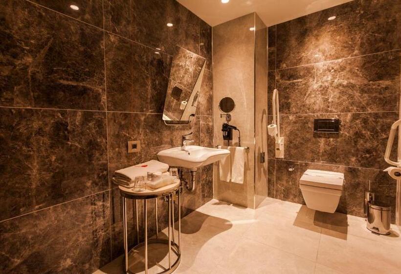 适合残疾人使用的标准间, Holiday Inn Kayseri   Duvenonu, An Ihg