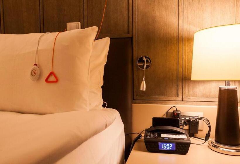 适合残疾人使用的标准间, Holiday Inn Kayseri   Duvenonu, An Ihg