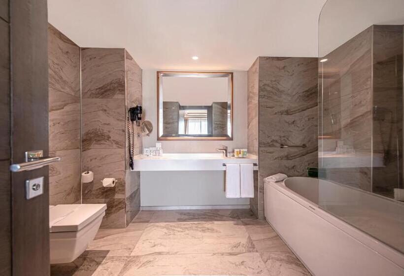 行政套房, Holiday Inn Kayseri   Duvenonu, An Ihg