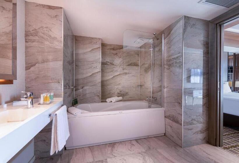行政套房, Holiday Inn Kayseri   Duvenonu, An Ihg