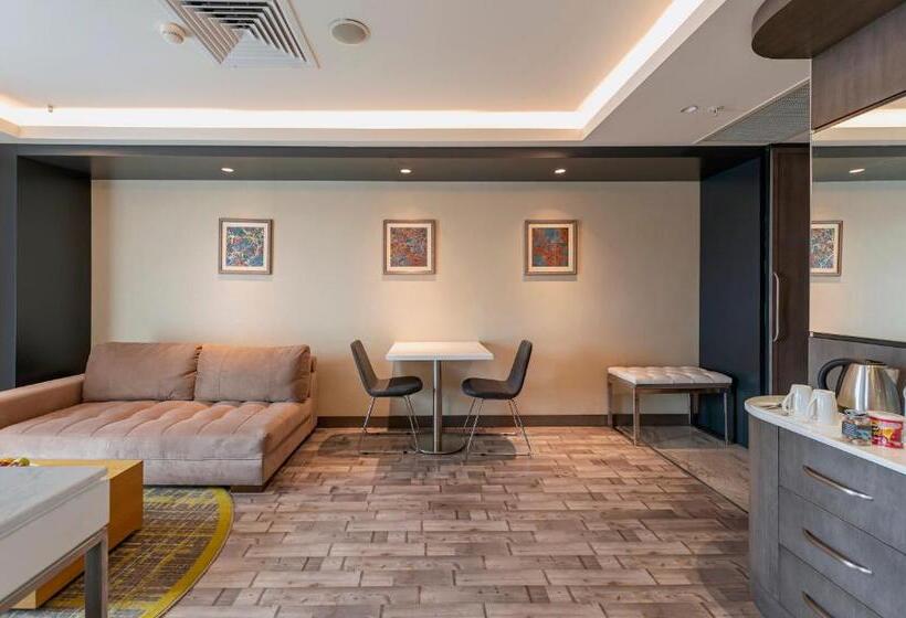 行政套房, Holiday Inn Kayseri   Duvenonu, An Ihg