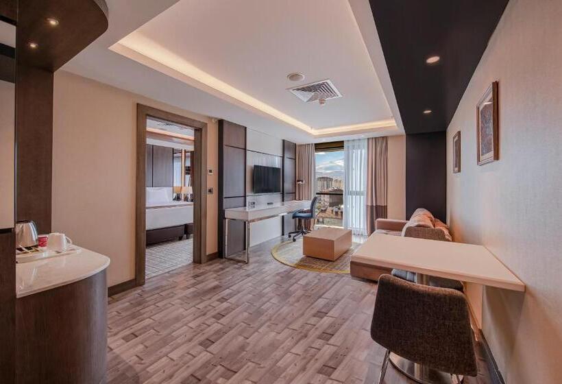 行政套房, Holiday Inn Kayseri   Duvenonu, An Ihg