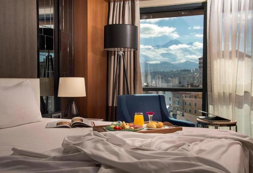 行政套房, Holiday Inn Kayseri   Duvenonu, An Ihg