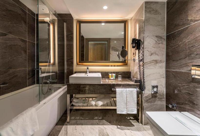 高级客房, Holiday Inn Kayseri   Duvenonu, An Ihg